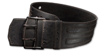 Wide Belt